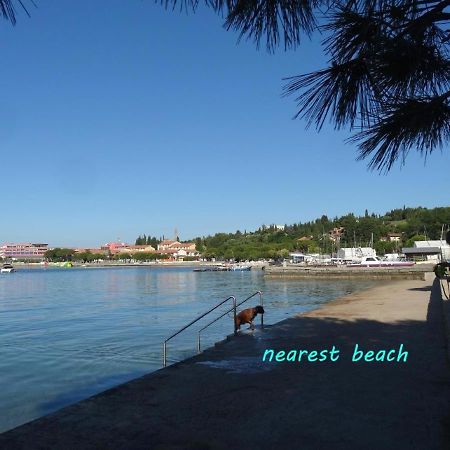 Apartments Nea By Locap Group Portorož Eksteriør billede